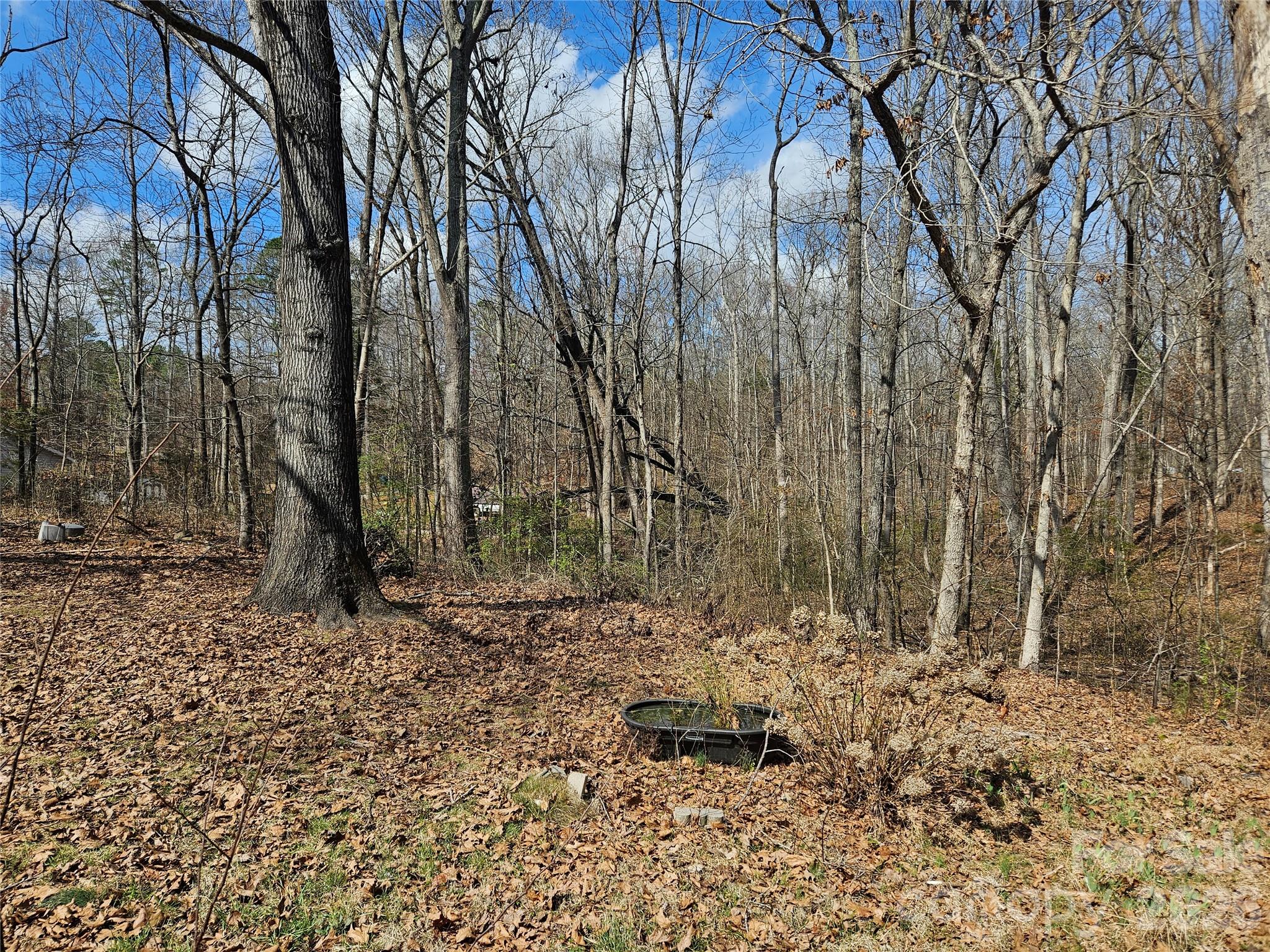 7440 Tuckaseegee Road Kannapolis, NC 28081 - Photo 15 of 17 a backyard of a house with lots of green space