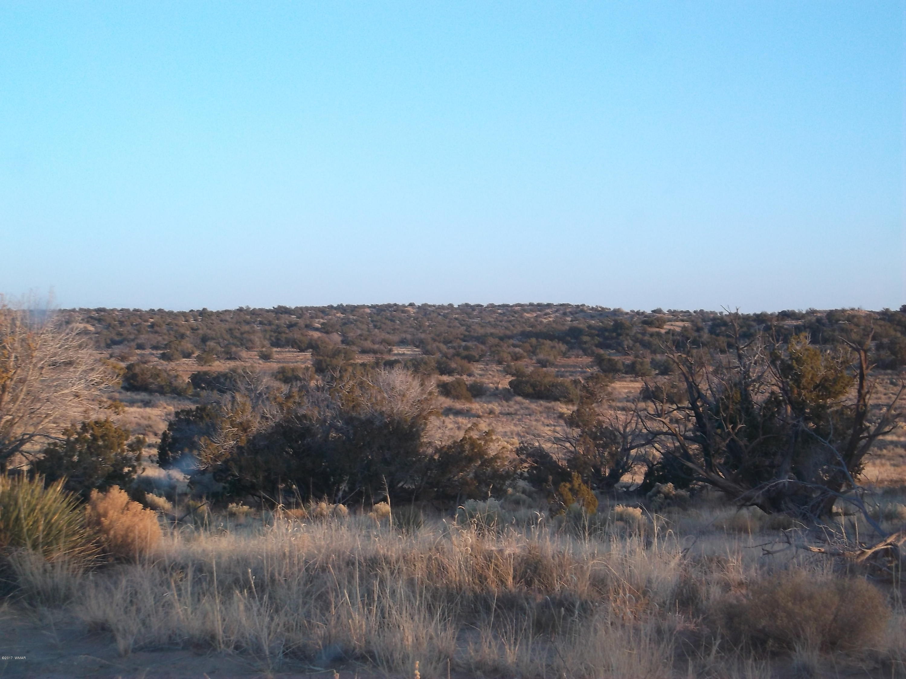 St-johns Az 85936 Ranch, Unit 4 St. Johns, AZ 85936 - Photo 1 of 12