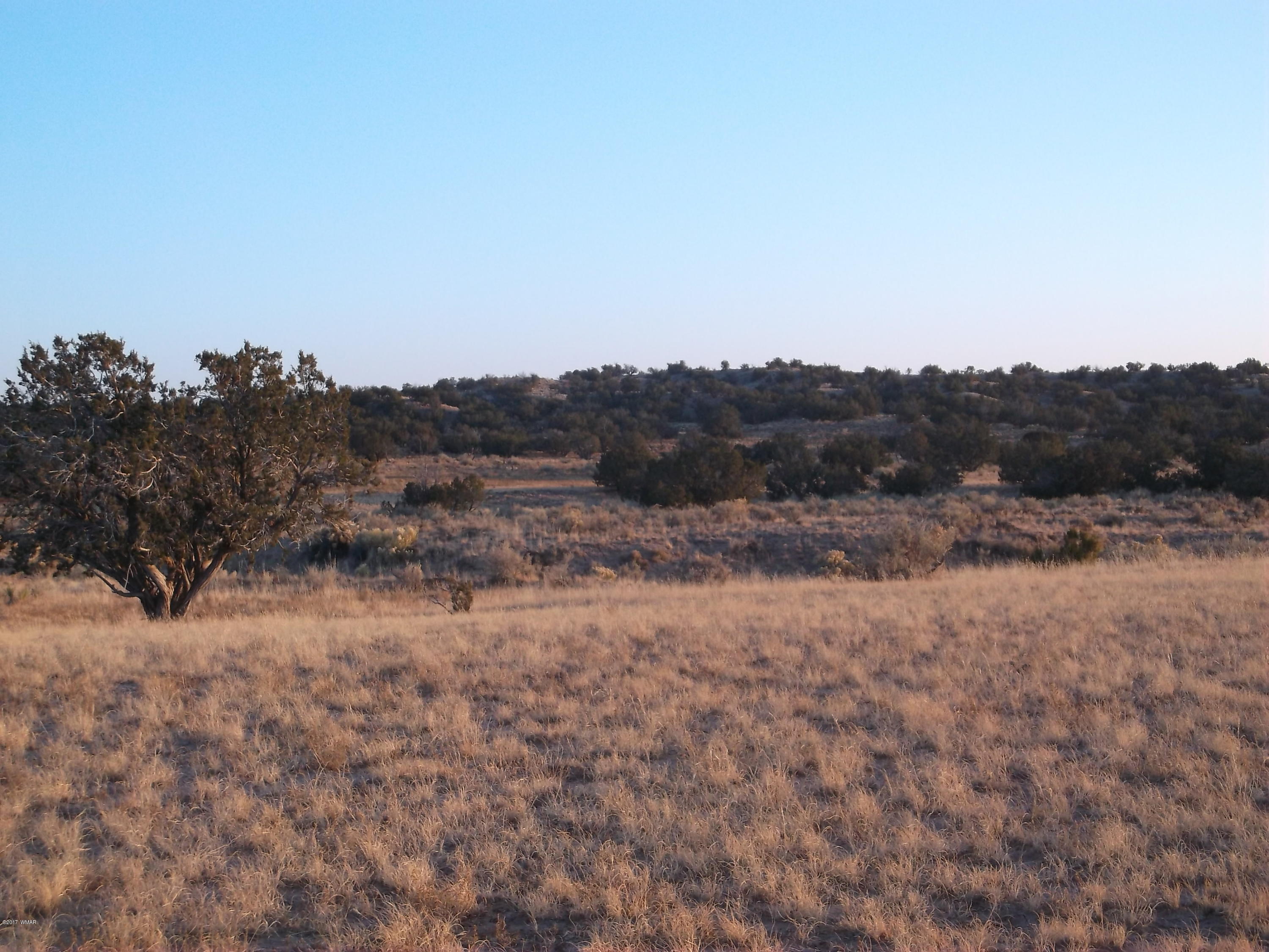 St-johns Az 85936 Ranch, Unit 4 St. Johns, AZ 85936 - Photo 11 of 12