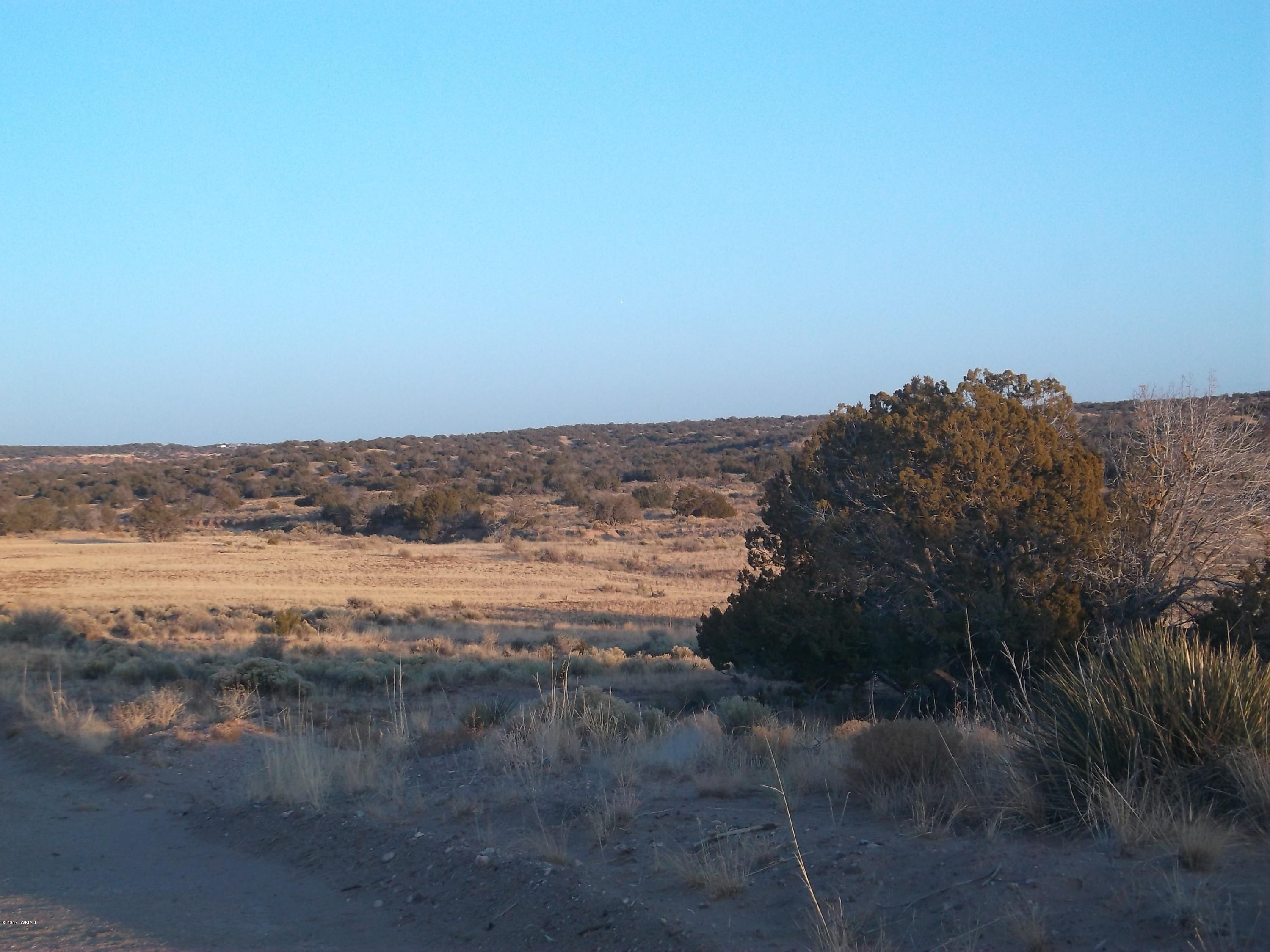 St-johns Az 85936 Ranch, Unit 4 St. Johns, AZ 85936 - Photo 2 of 12