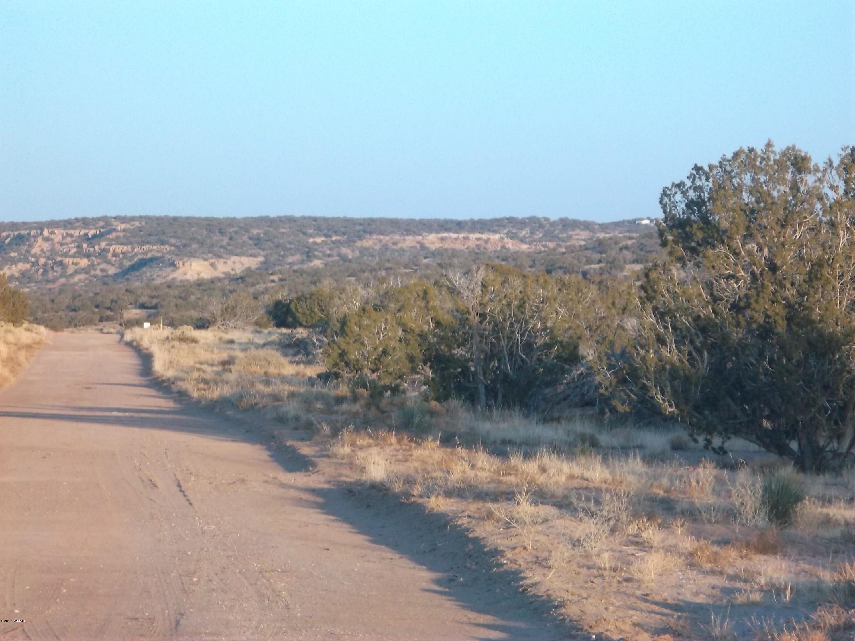 St-johns Az 85936 Ranch, Unit 4 St. Johns, AZ 85936 - Photo 3 of 12
