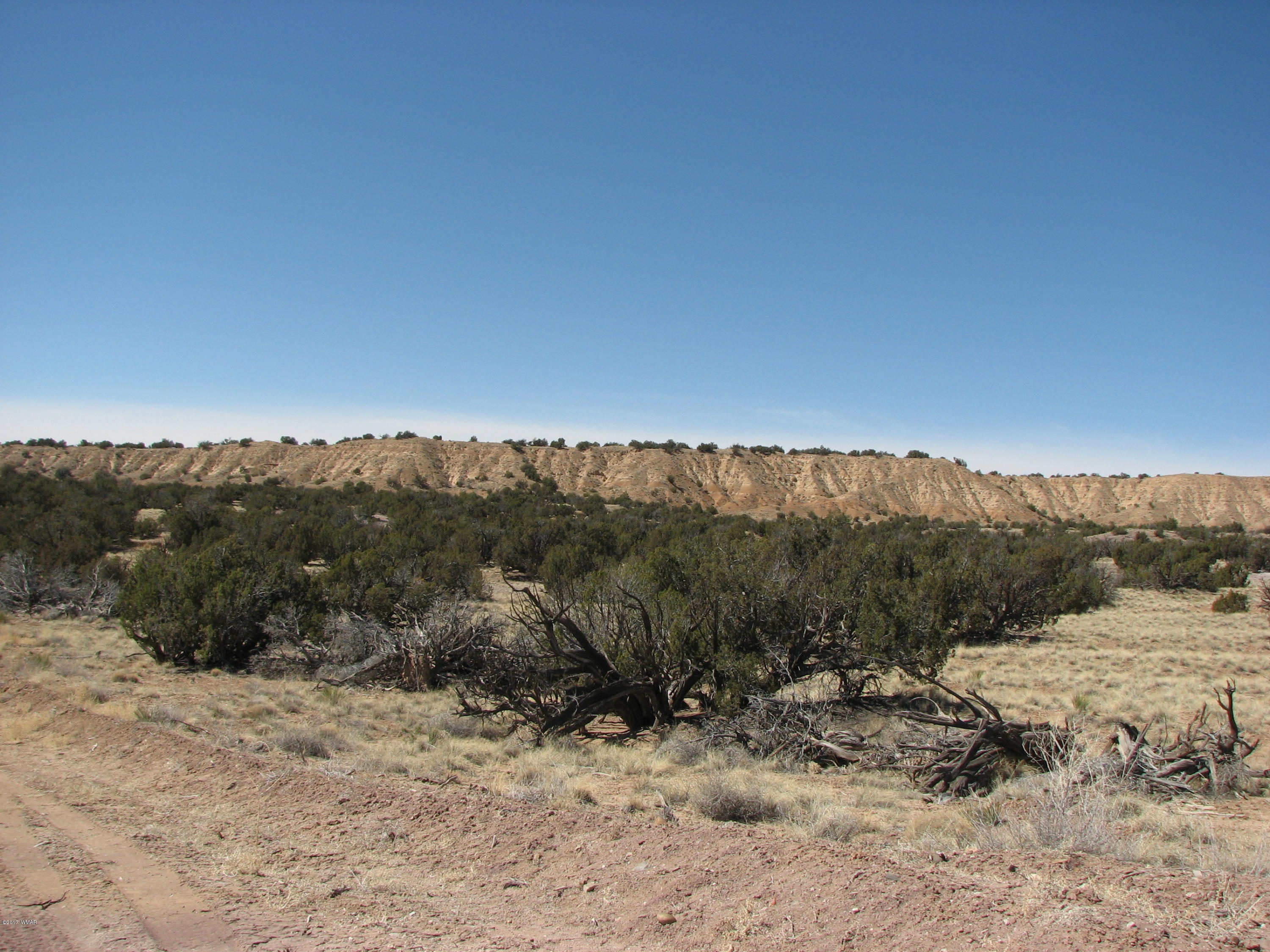 St-johns Az 85936 Ranch, Unit 4 St. Johns, AZ 85936 - Photo 4 of 12