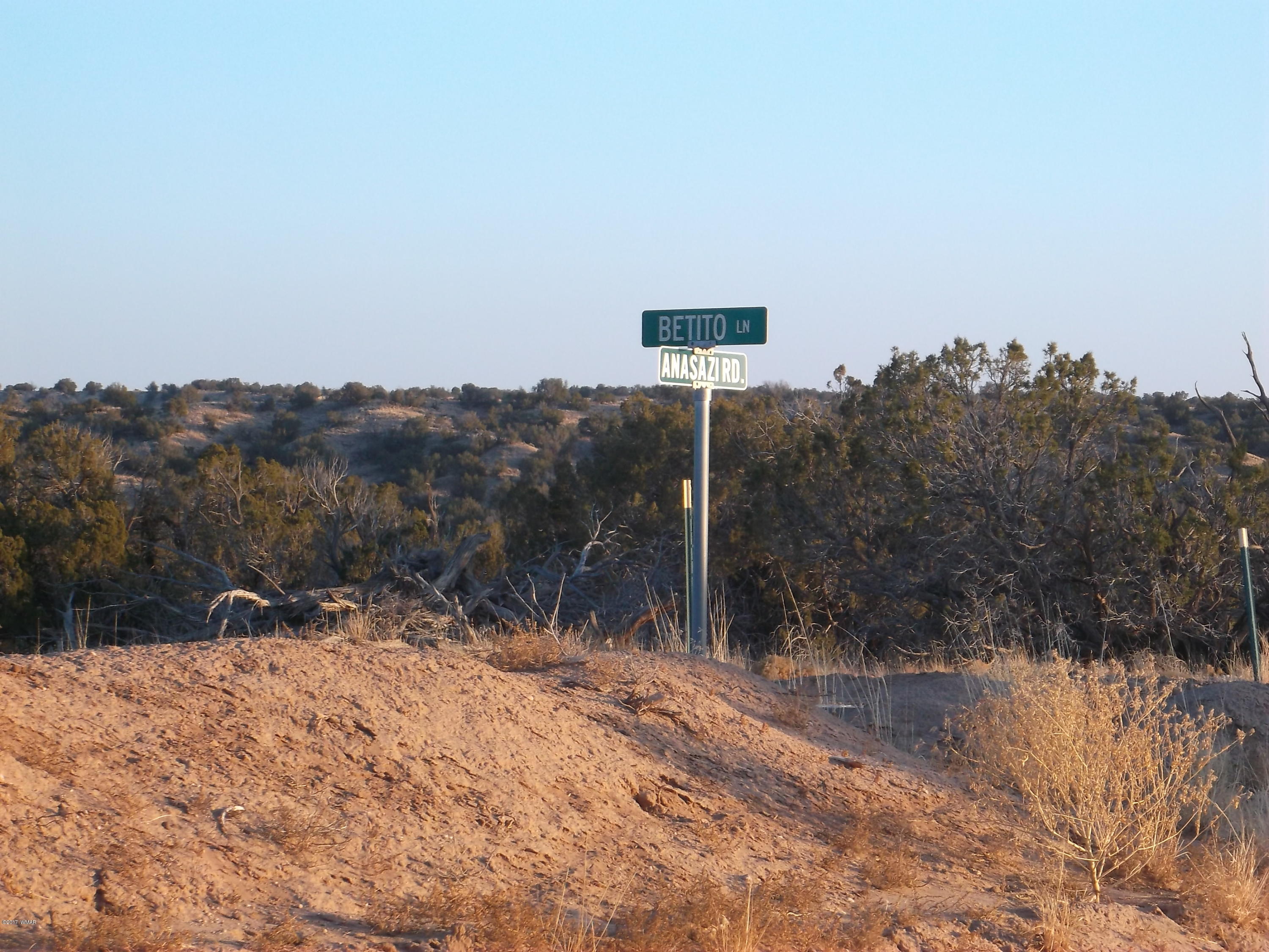 St-johns Az 85936 Ranch, Unit 4 St. Johns, AZ 85936 - Photo 5 of 12