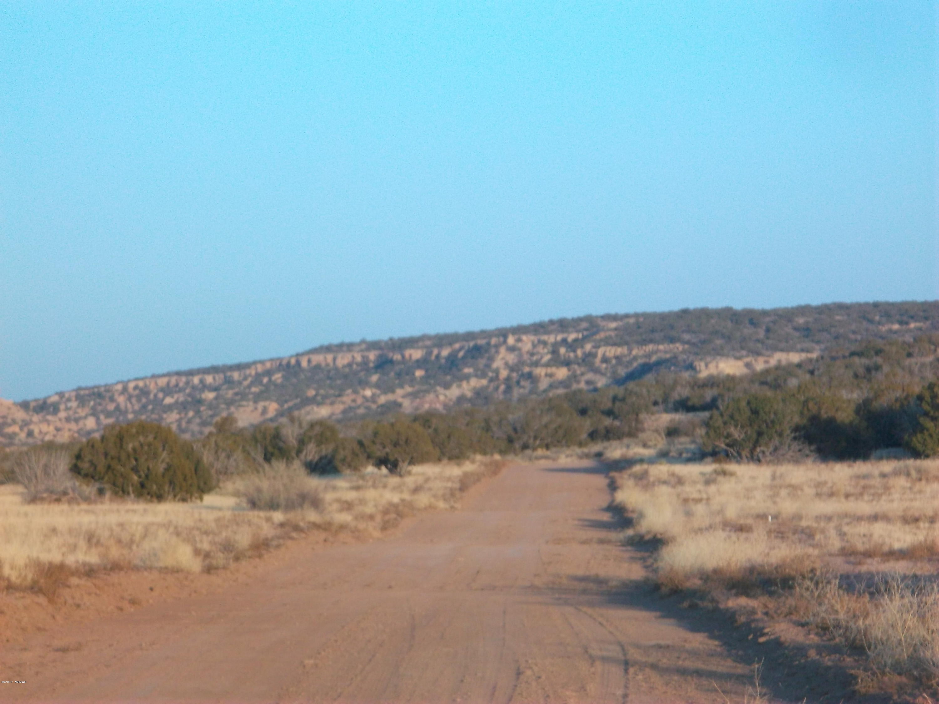 St-johns Az 85936 Ranch, Unit 4 St. Johns, AZ 85936 - Photo 6 of 12