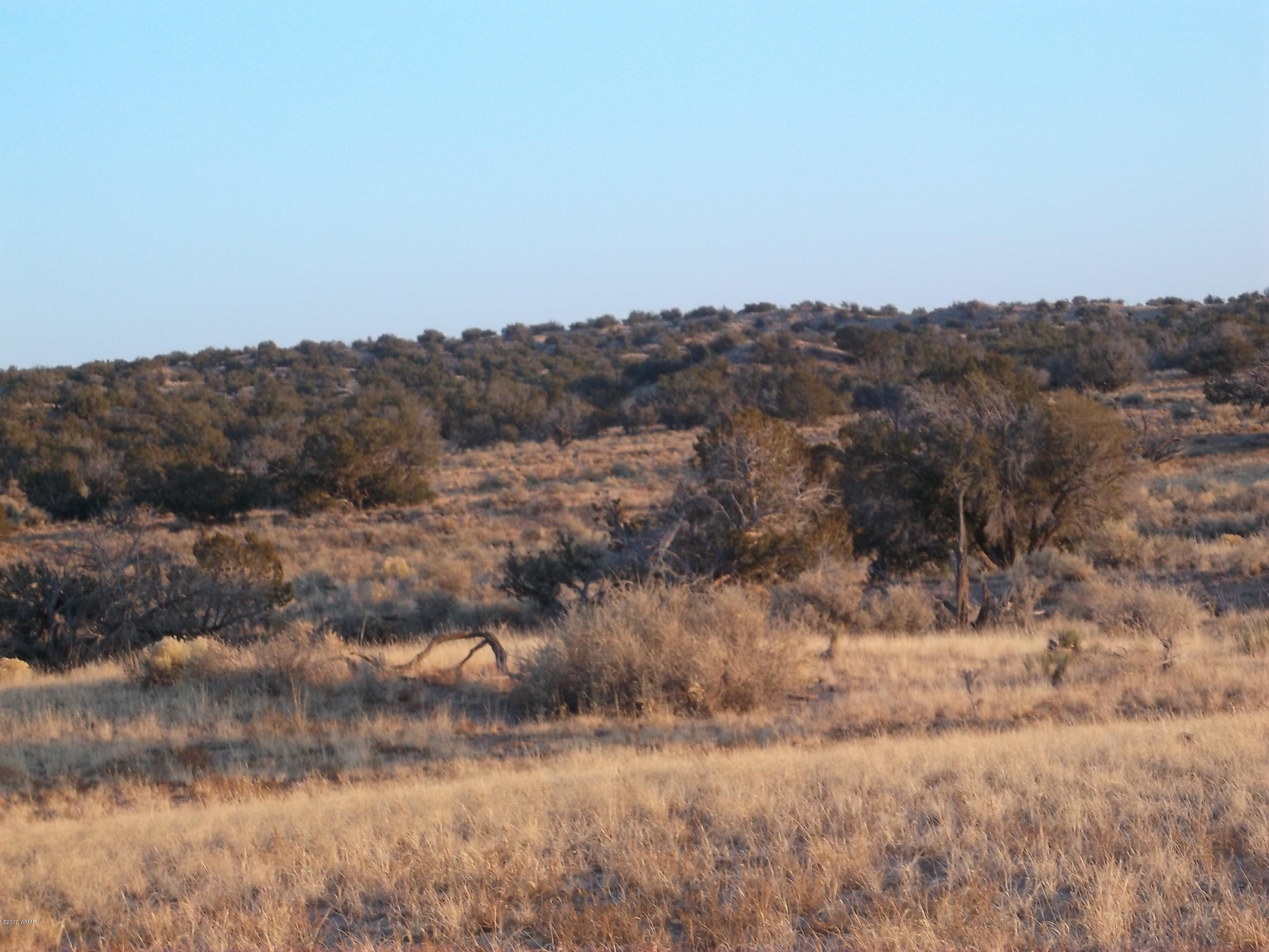 St-johns Az 85936 Ranch, Unit 4 St. Johns, AZ 85936 - Photo 8 of 12