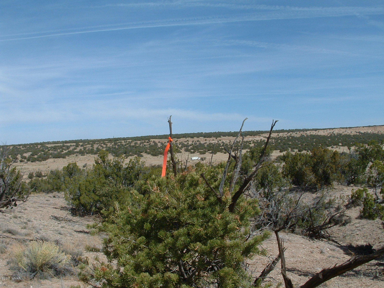 St-johns Az 85936 Ranch, Unit 4 St. Johns, AZ 85936 - Photo 9 of 12
