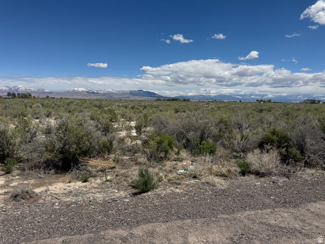 2225 South 500th Street East Delta, UT 84624 - Photo 3 of 9 Expansive undeveloped land featuring natural vegetation and distant snow-capped mountains under a clear sky. 10.75 acres on the outskirts of Delta.