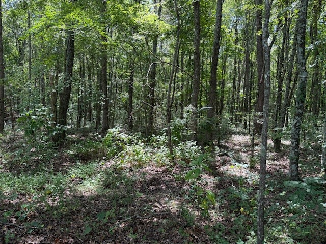 1829 Goforth Road Morrison, TN 37357 - Photo 3 of 4 a view of outdoor space and green space