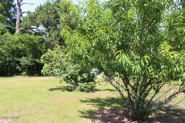 $225,000 | 2100 3rd Avenue, Sneads, FL 32460