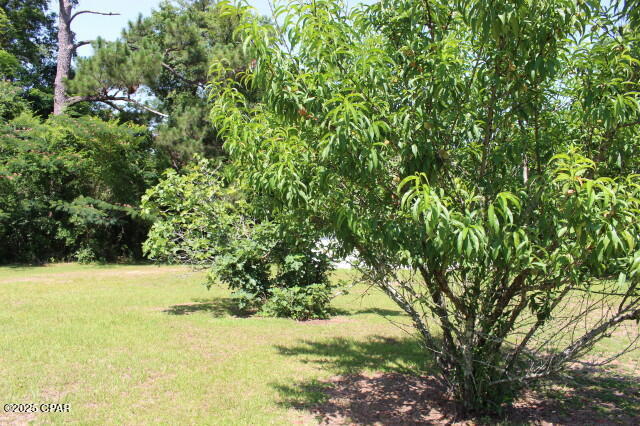 2100 3rd Avenue Sneads, FL 32460 - Photo 20 of 55