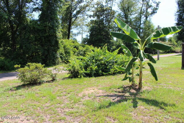 2100 3rd Avenue Sneads, FL 32460 - Photo 23 of 55