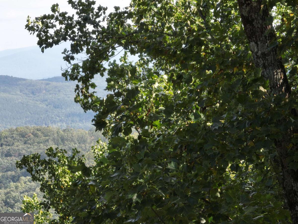 280 Andes Ridge Talking Rock, GA 30175 - Photo 6 of 45