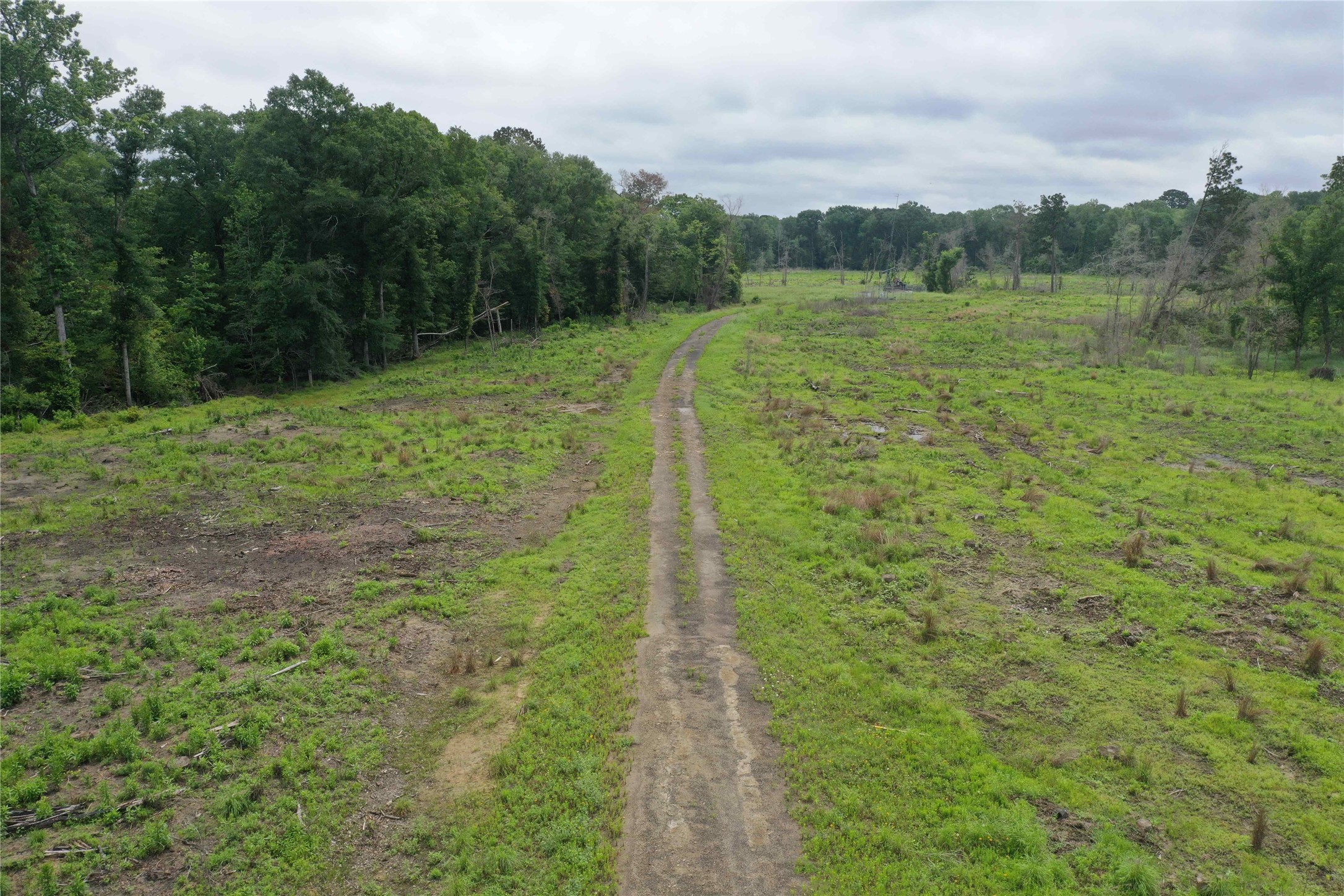 449- Socagee Creek Road Carthage, TX 75633 - Photo 2 of 7