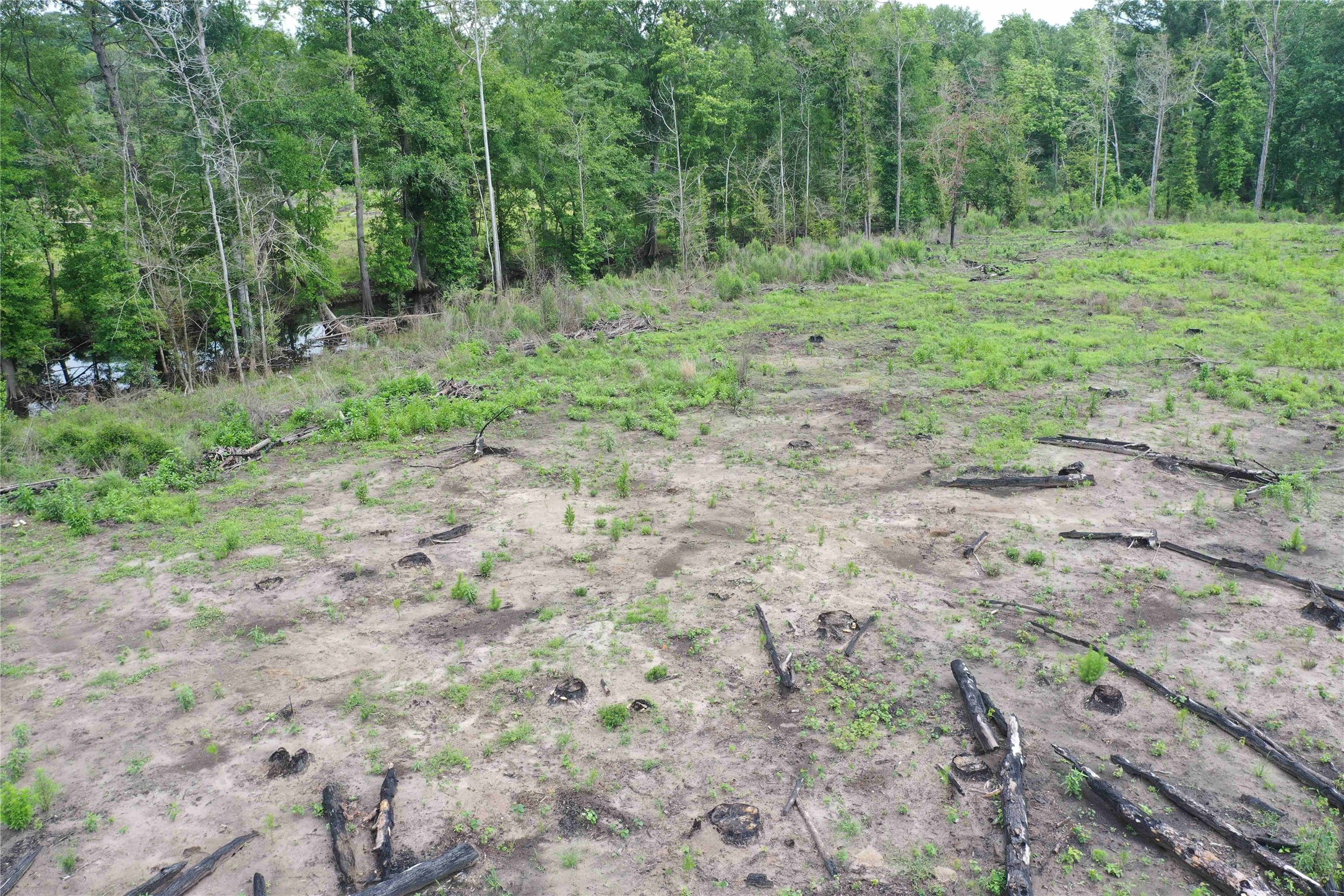 449- Socagee Creek Road Carthage, TX 75633 - Photo 4 of 7