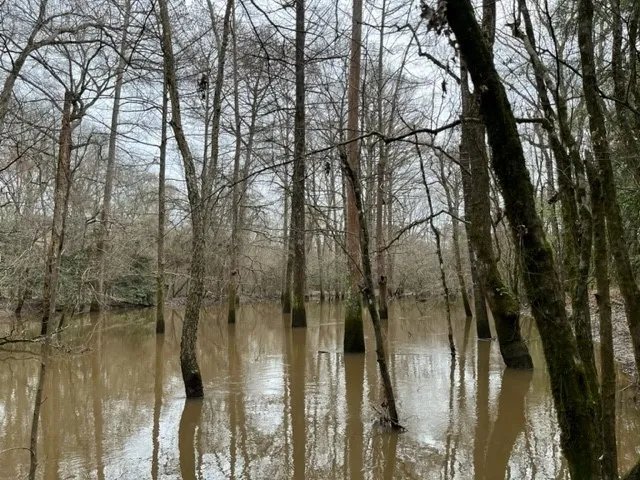 $400,517 | 449- Socagee Creek Road, Carthage, TX 75633