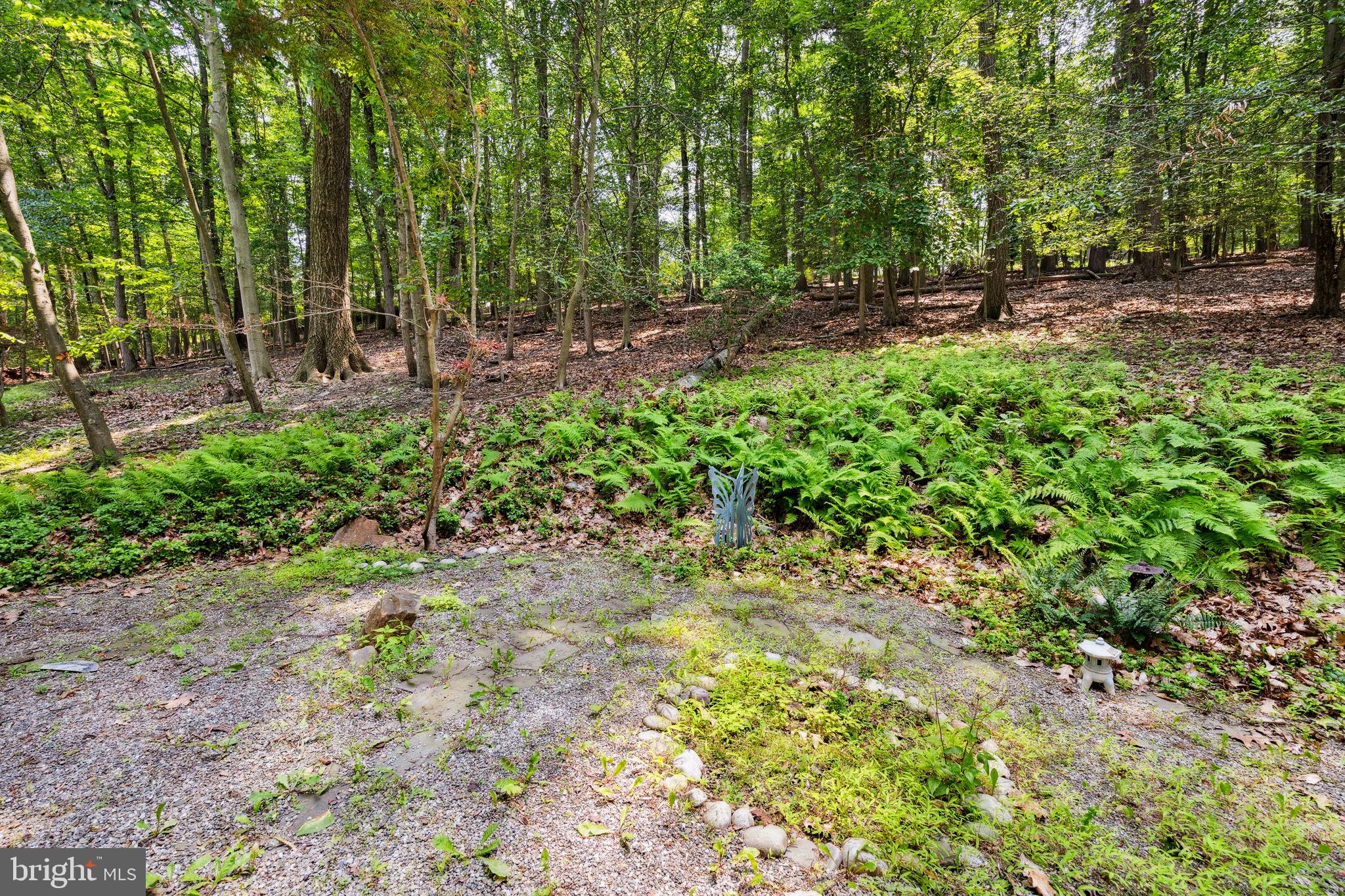100 Pugh Road Wayne, PA 19087 - Photo 50 of 57 a backyard of a house with lots of green space and trees all around