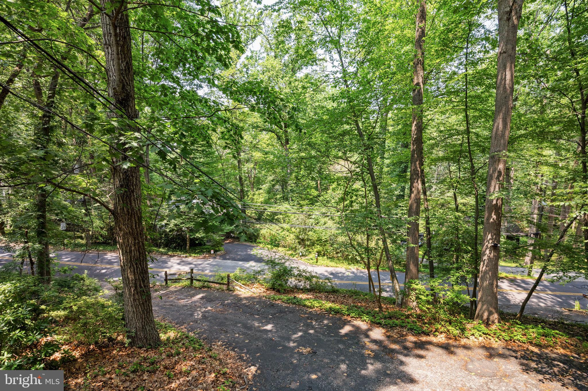 100 Pugh Road Wayne, PA 19087 - Photo 56 of 57 a view of a forest with trees