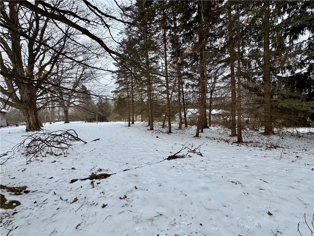 Nott Road Canandaigua, NY 14424 - Photo 3 of 5