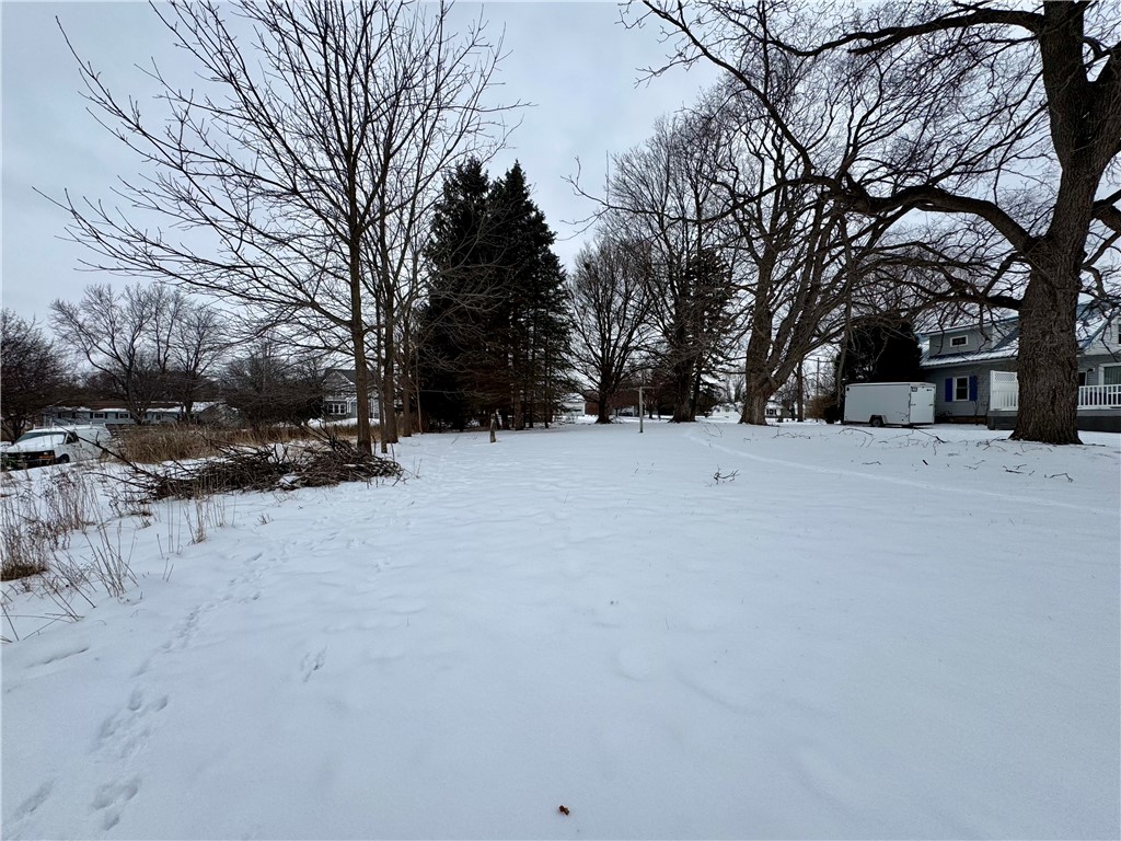 Nott Road Canandaigua, NY 14424 - Photo 4 of 5