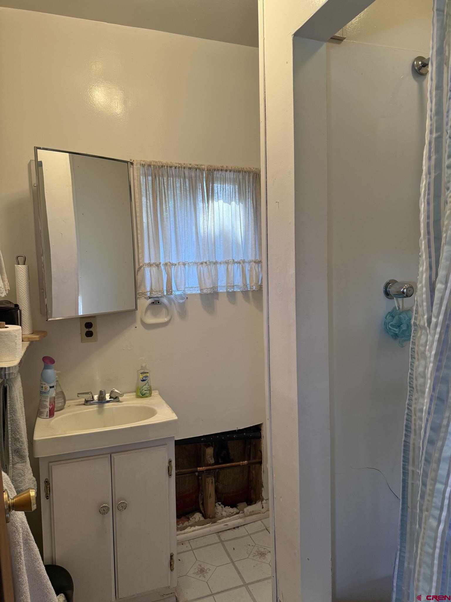 613 3rd Street Paonia, CO 81428 - Photo 21 of 33 a bathroom with a sink a toilet and shower