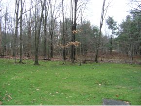 302 Ridgefield Road Endicott, NY 13760 - Photo 13 of 14 Gallery Image 13