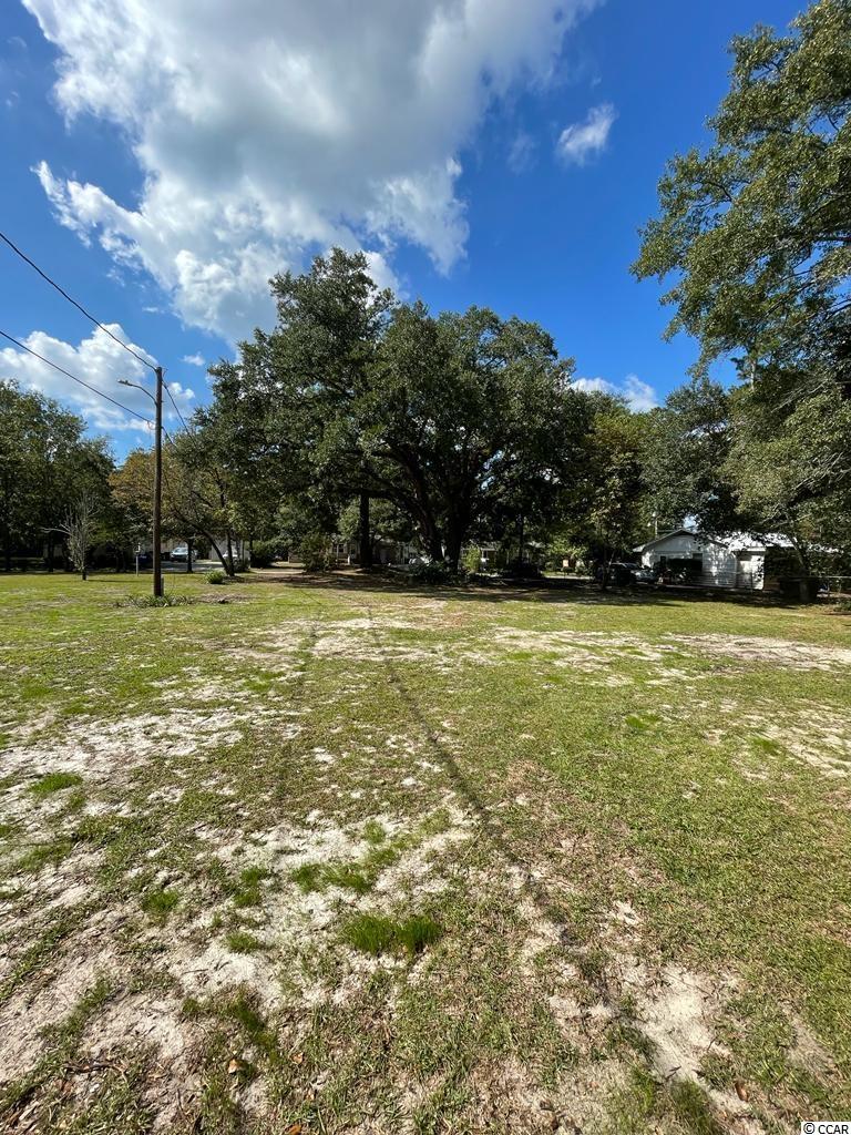 402 Rufus Street Conway, SC 29527 - Photo 11 of 12 Gallery Image 11