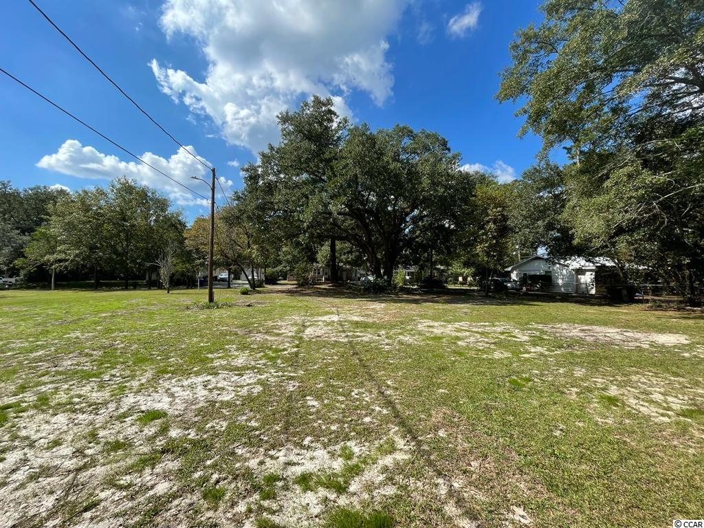 402 Rufus Street Conway, SC 29527 - Photo 12 of 12 Gallery Image 12