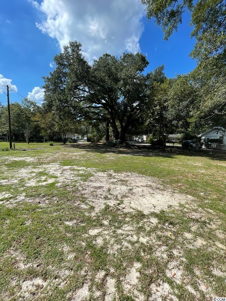 402 Rufus Street Conway, SC 29527 - Photo 3 of 12 Gallery Image 3