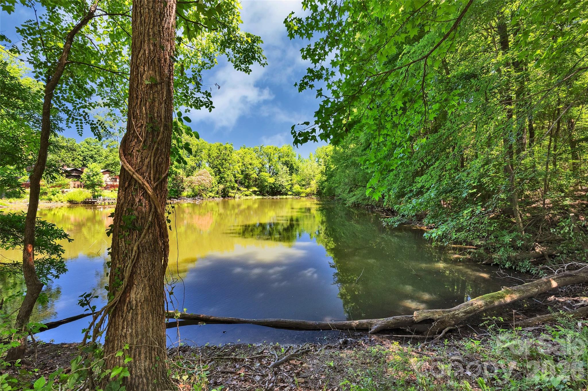 1433 Lurecliff Place Fort Mill, SC 29708 - Photo 41 of 42