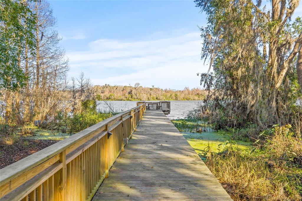 31445 Amberlea Road Dade City, FL 33523 - Photo 20 of 52