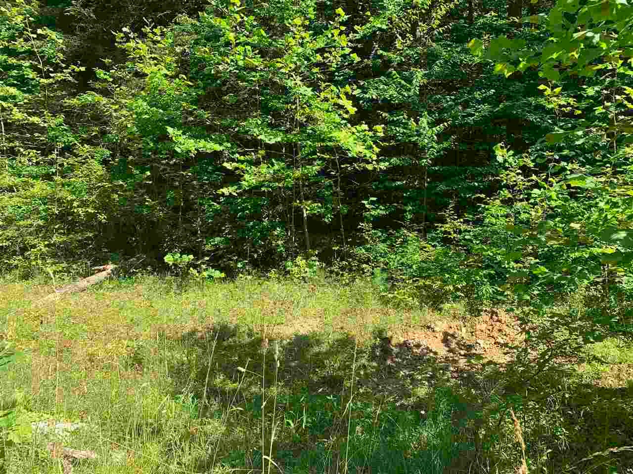 0 Nine Mile Road Branchland, WV 25506 - Photo 12 of 12 Gallery Image 12