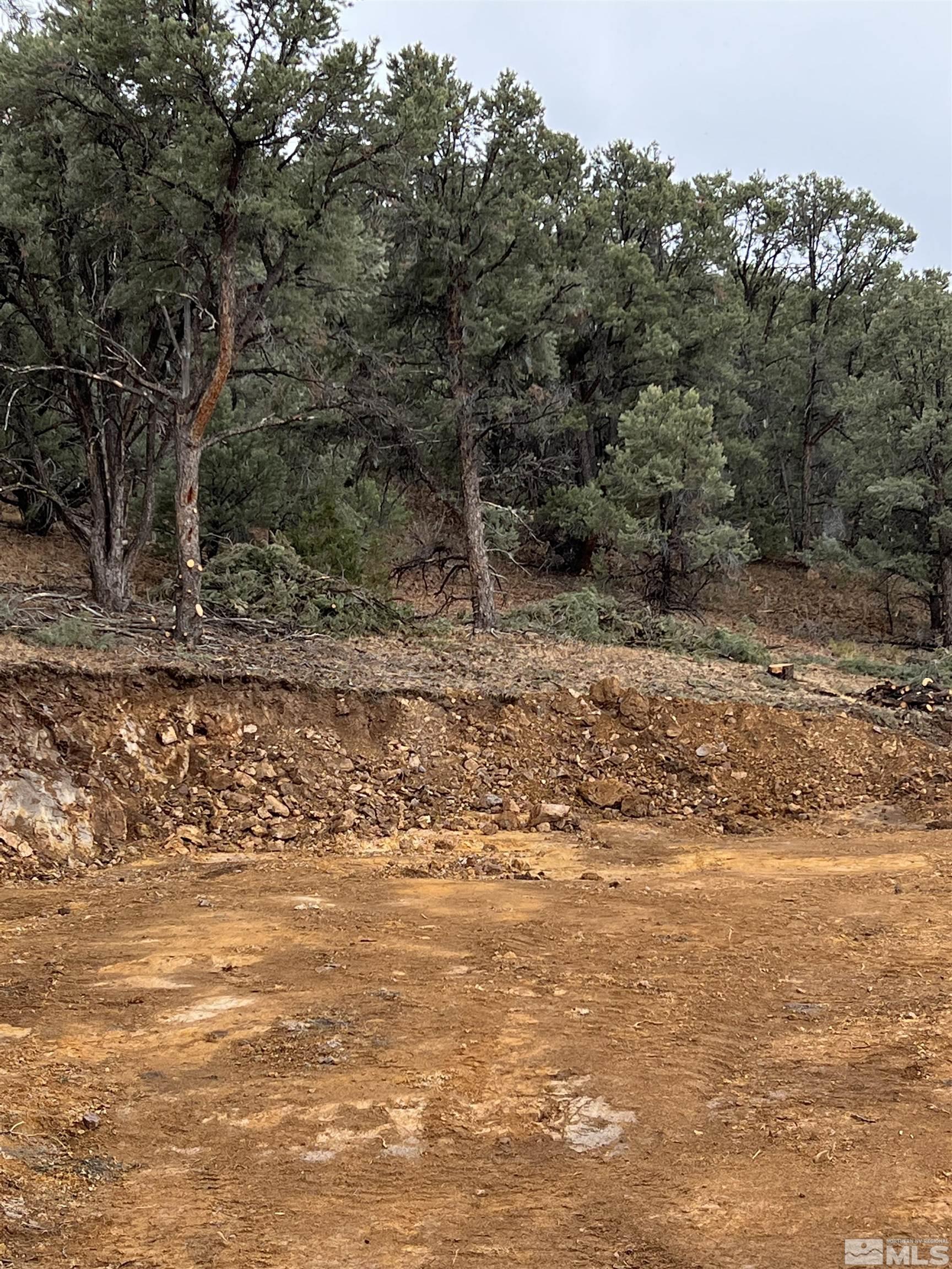 1260 Yellow Jacket Road Reno, NV 89521 - Photo 11 of 14 Photo 11