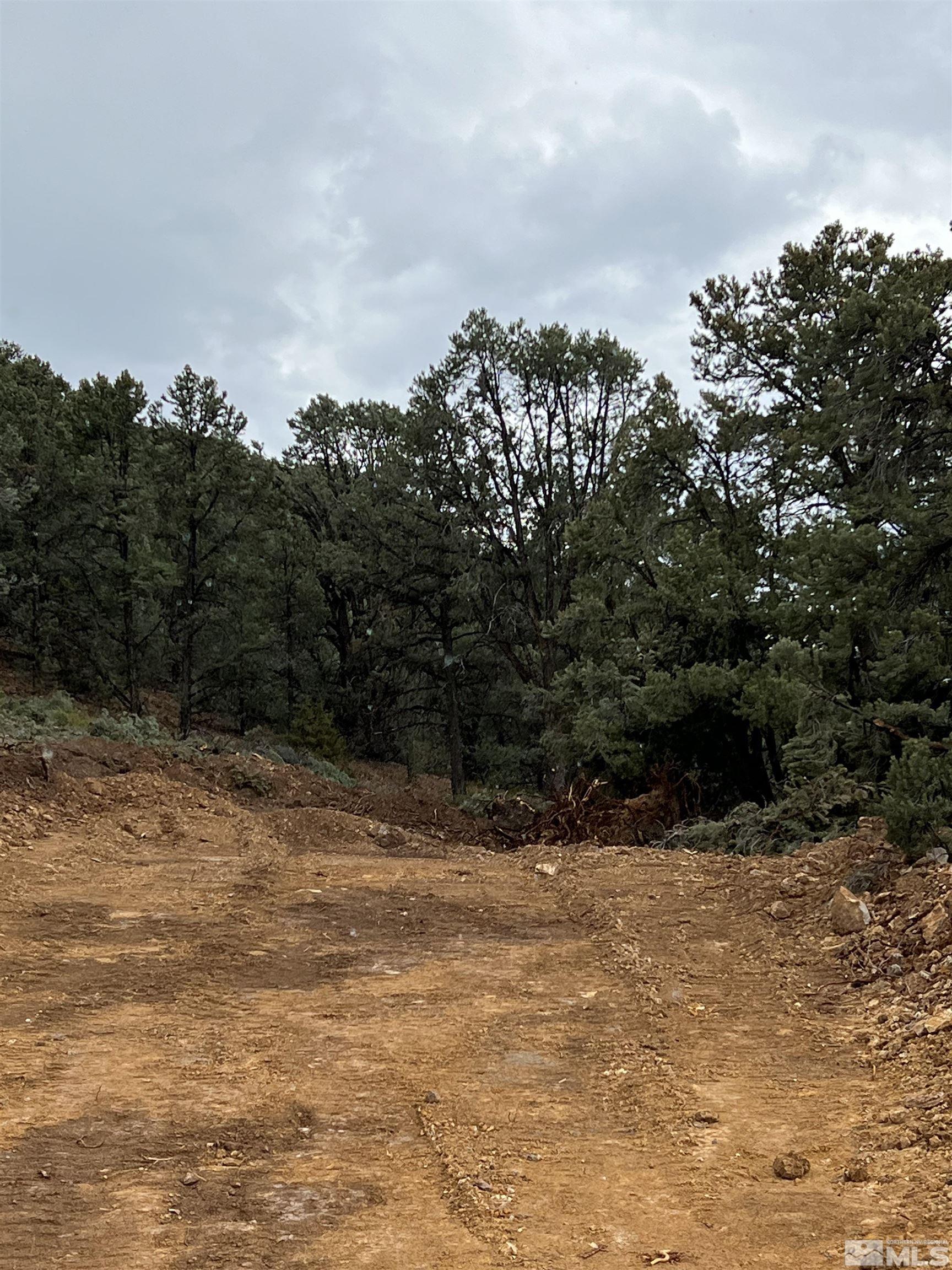 1260 Yellow Jacket Road Reno, NV 89521 - Photo 12 of 14 Photo 12