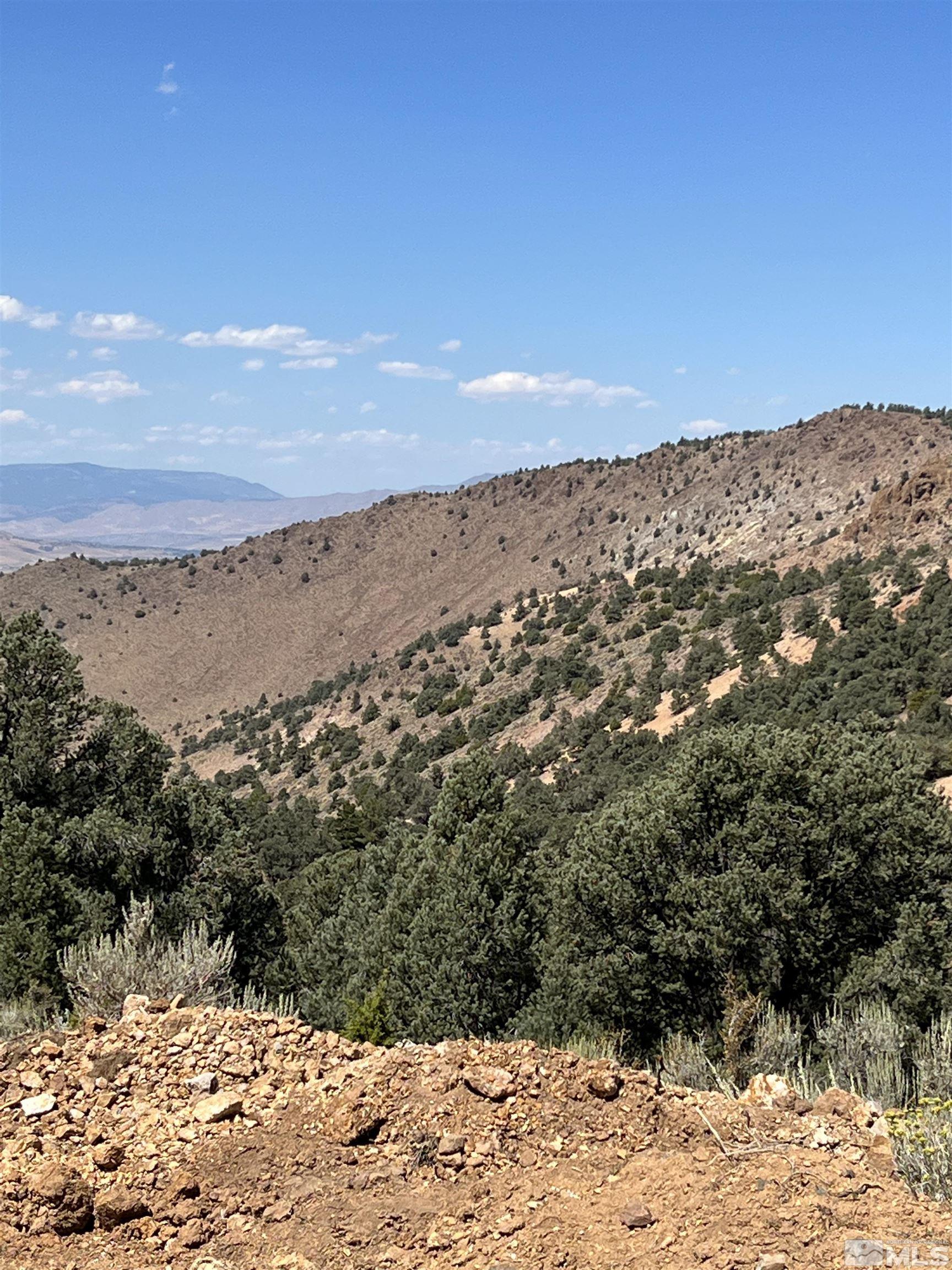 1260 Yellow Jacket Road Reno, NV 89521 - Photo 3 of 14 Photo 3