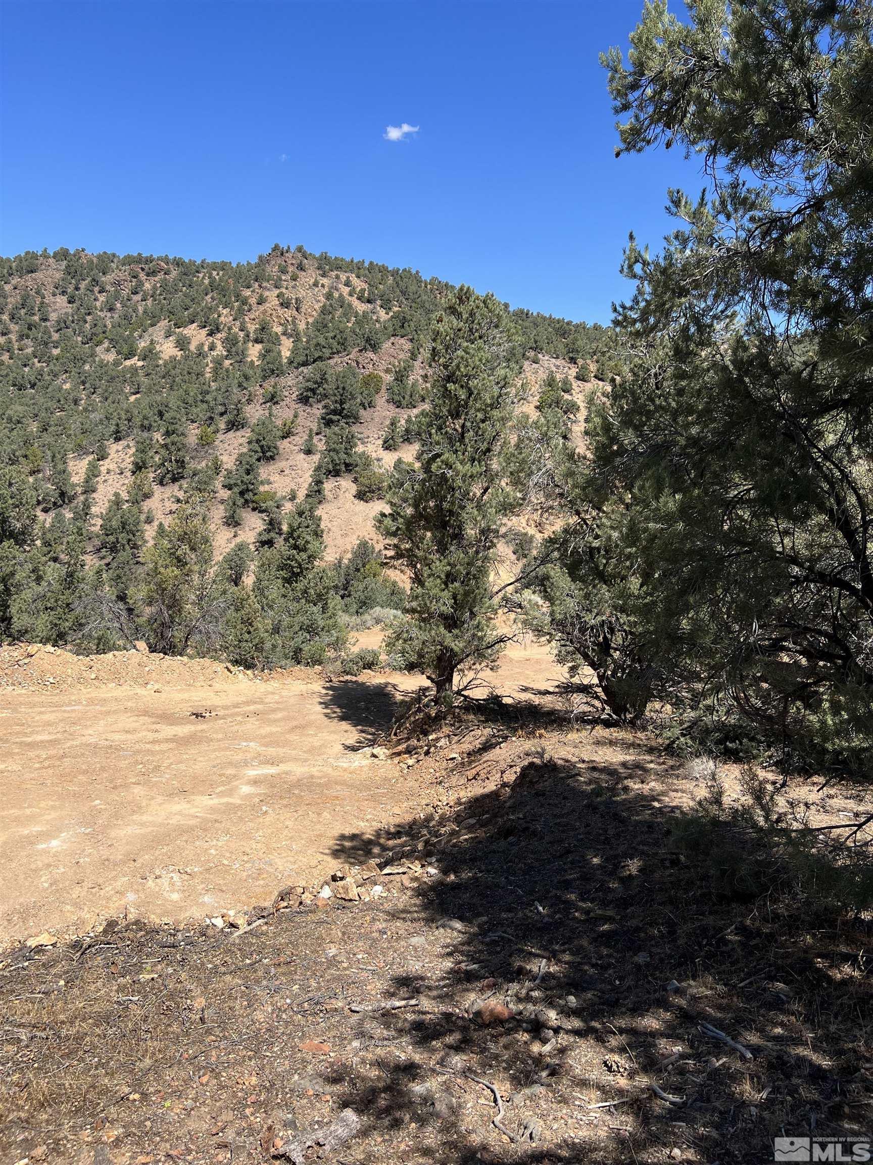 1260 Yellow Jacket Road Reno, NV 89521 - Photo 4 of 14 Photo 4