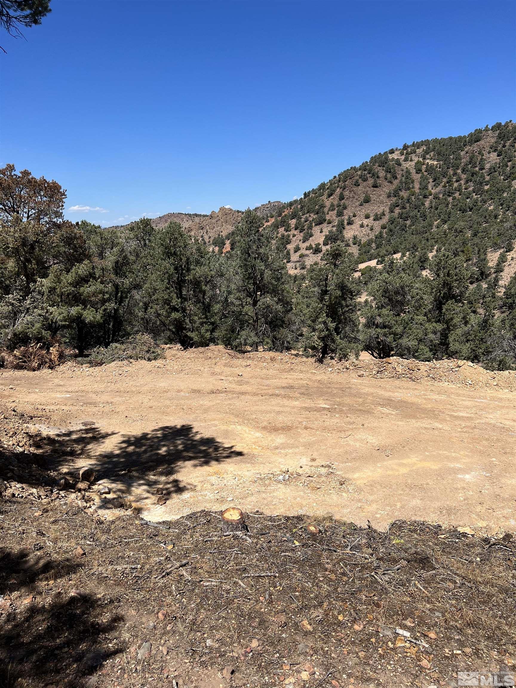 1260 Yellow Jacket Road Reno, NV 89521 - Photo 5 of 14 Photo 5