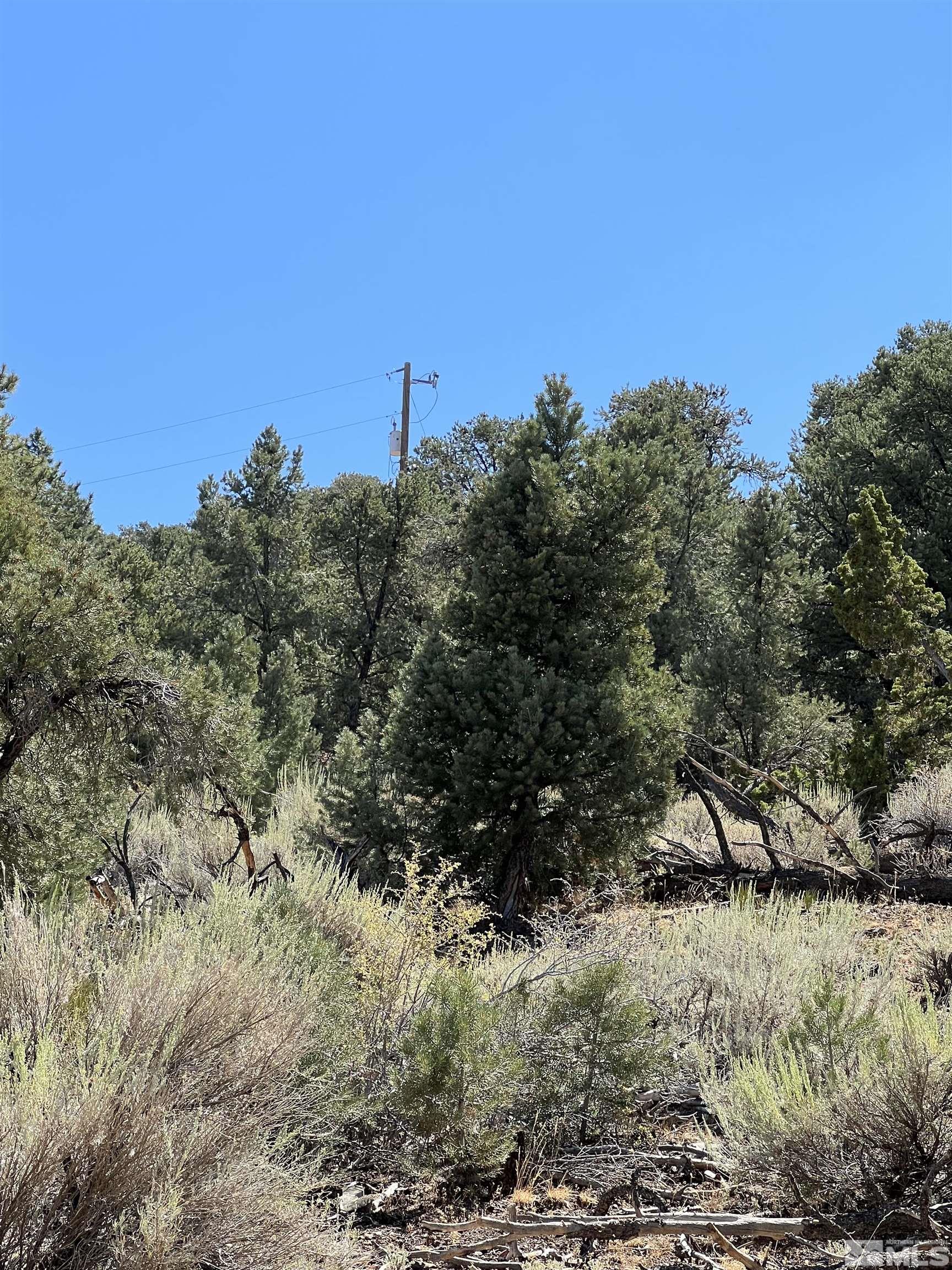 1260 Yellow Jacket Road Reno, NV 89521 - Photo 7 of 14 Photo 7