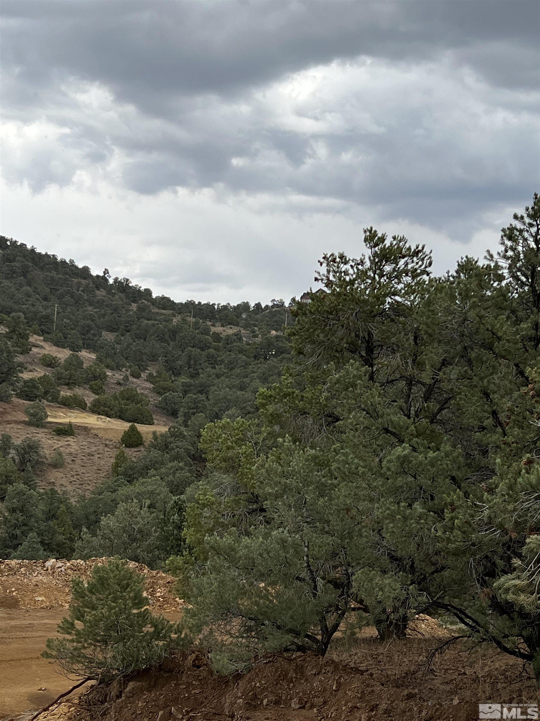 1260 Yellow Jacket Road Reno, NV 89521 - Photo 9 of 14 Photo 9