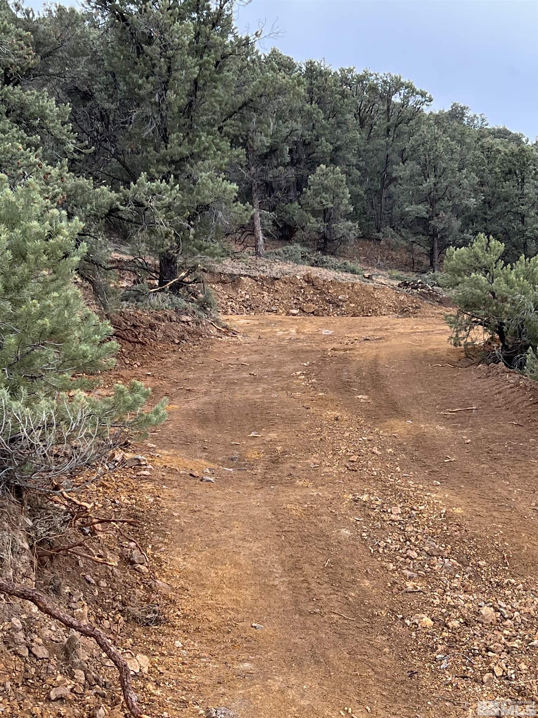 1260 Yellow Jacket Road Reno, NV 89521 - Photo 10 of 14 Photo 10