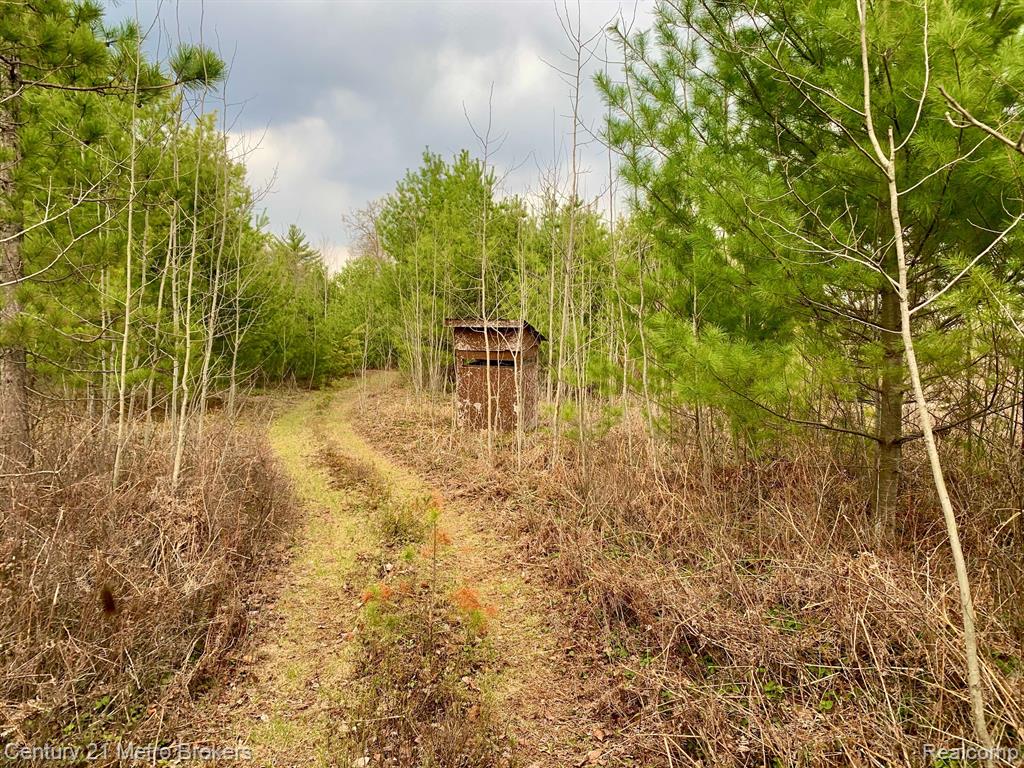 0 East Sugar River Road Alger, MI 48610 - Photo 21 of 50