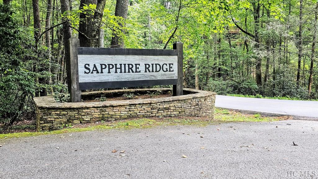 Tract B Easy Springs Road Sapphire, NC 28774 - Photo 4 of 16 Gallery Image 4
