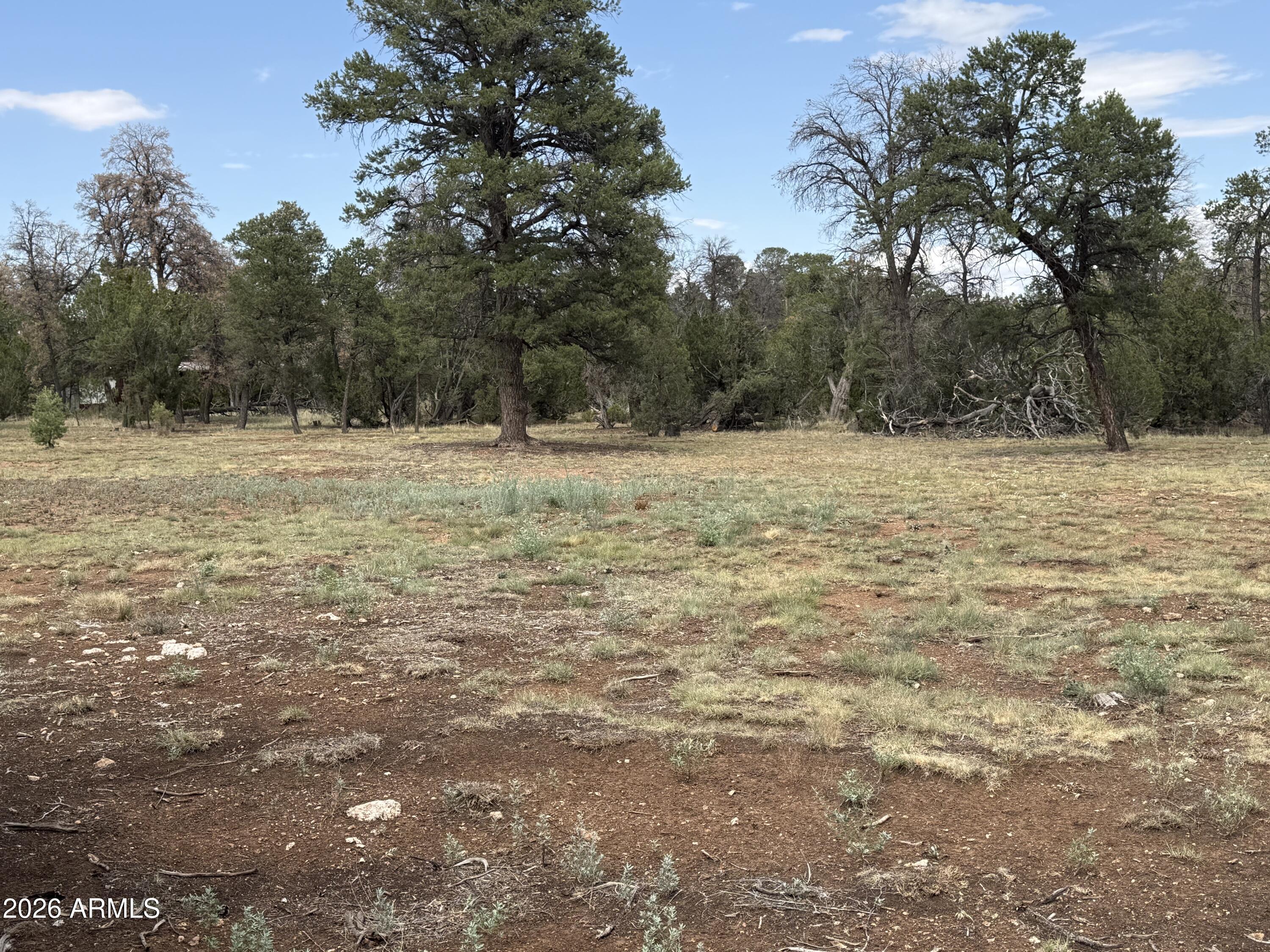 3048 Chevelon Road, Unit 147 Overgaard, AZ 85933 - Photo 3 of 13 a view of empty field with trees around