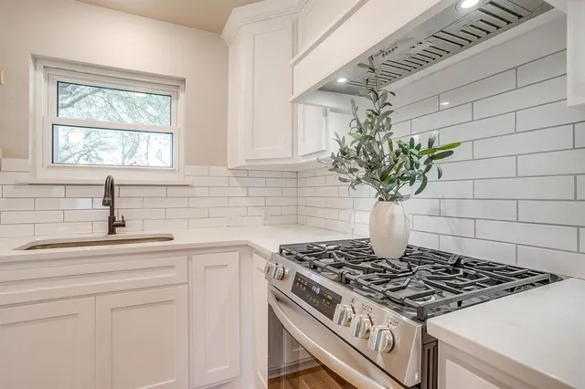 a kitchen with a stove a sink a potted plant and cabinets