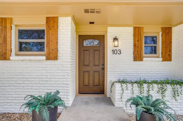 a potted plant sitting in front of a door