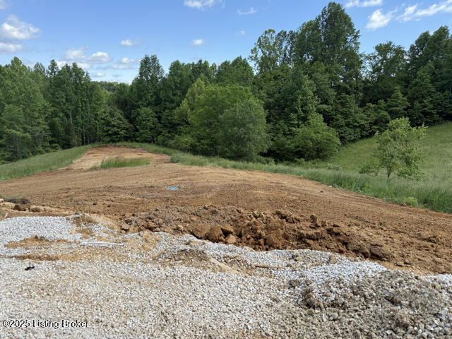 49 Roy Road Eastview, KY 42732 - Photo 47 of 53 IMG_0679
