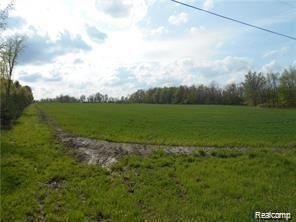 0 Klam Road Otter Lake, MI 48464 - Photo 1 of 1 Gallery Image 1