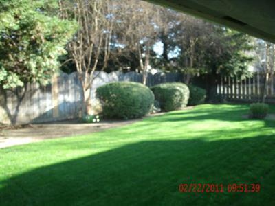 1478 West Flora Avenue Reedley, CA 93654 - Photo 15 of 23 Gallery Image 15