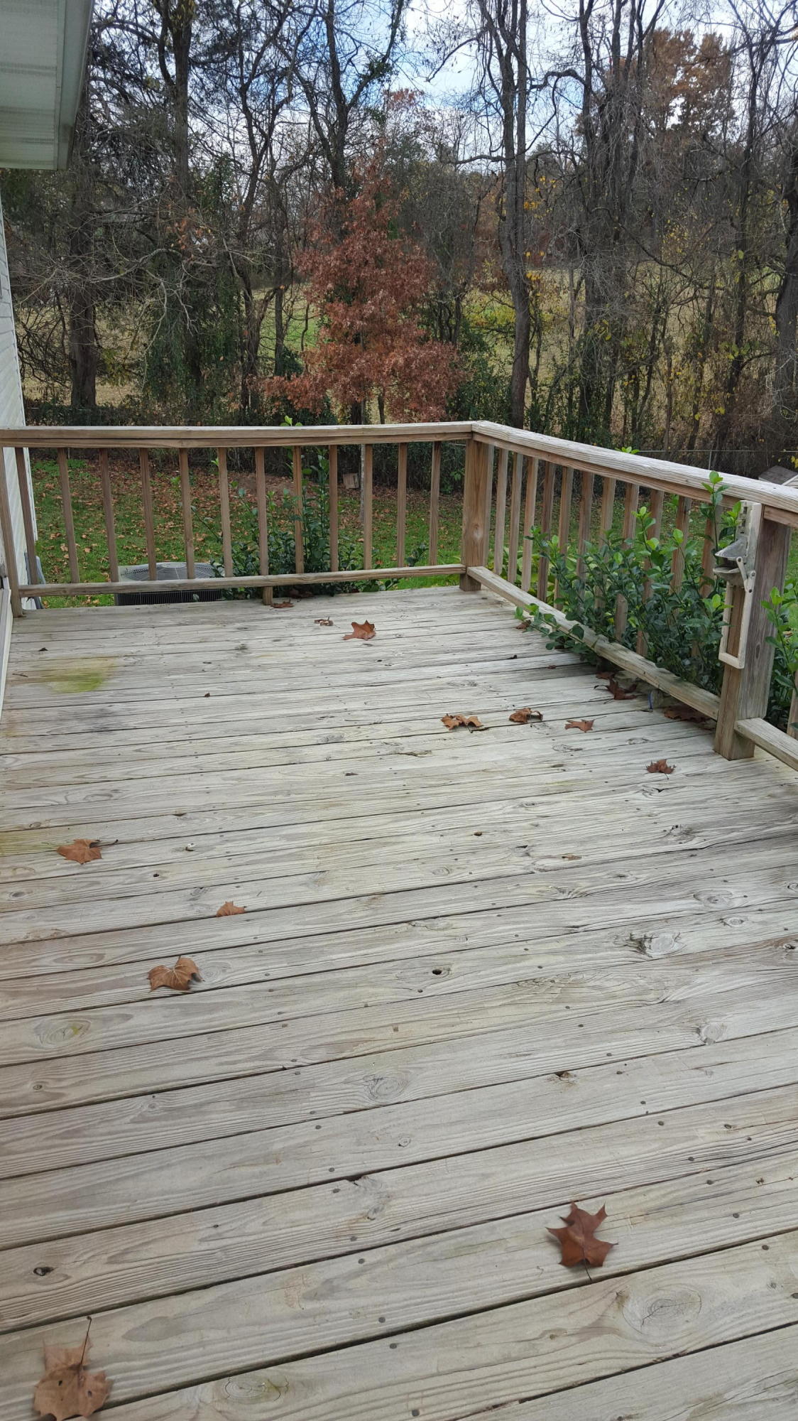 2101 Cave Springs Road Tazewell, TN 37879 - Photo 12 of 38 20151105_115740