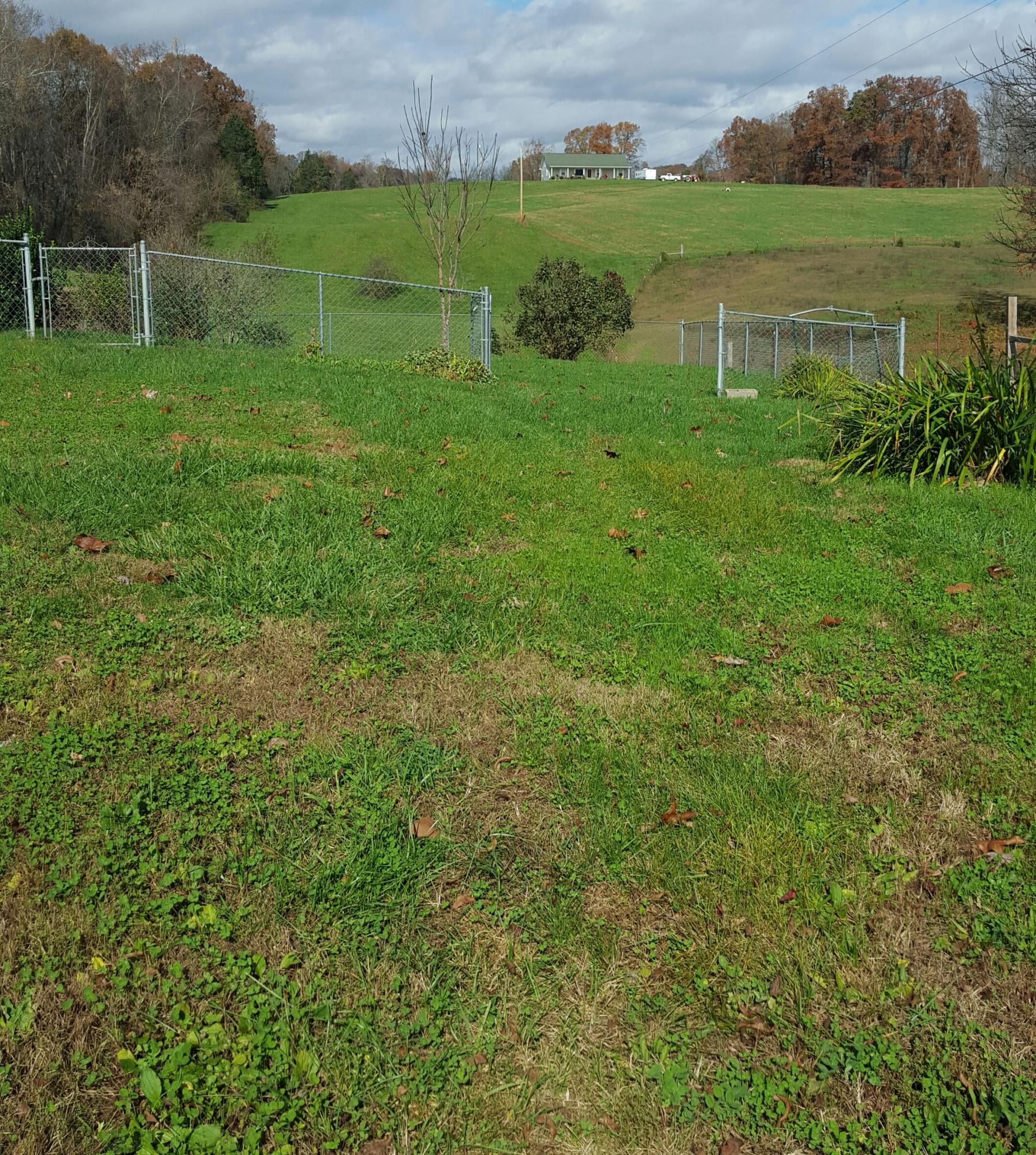 2101 Cave Springs Road Tazewell, TN 37879 - Photo 35 of 38 20151105_120840-1