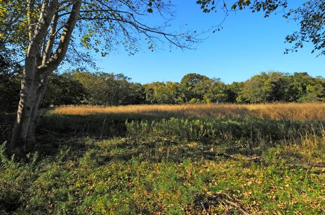 121 Pantigo Road East Hampton, NY 11937 - Photo 19 of 23 Gallery Image 19